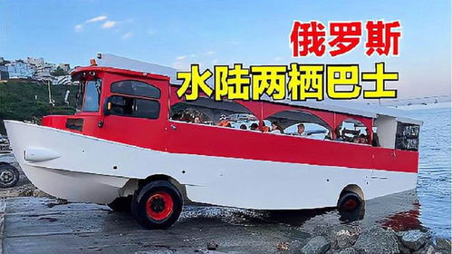 汽车开海里赔偿多少